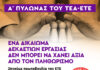 Ανοιχτή Επιστολή